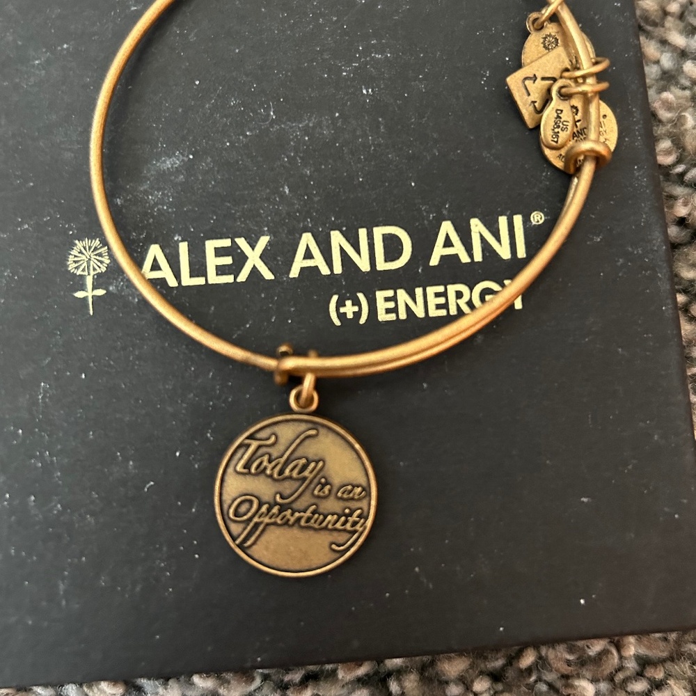 Alex and Ani bracelet